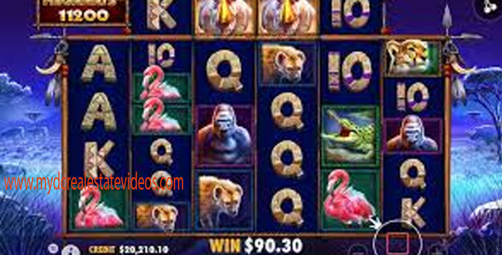 JEBOL JACKPOT