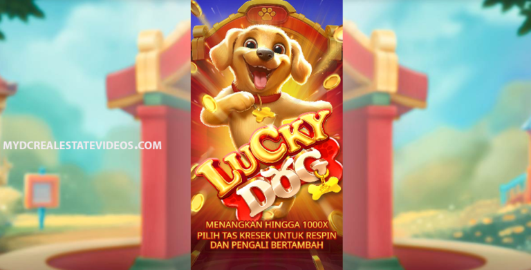 Lucky Dog