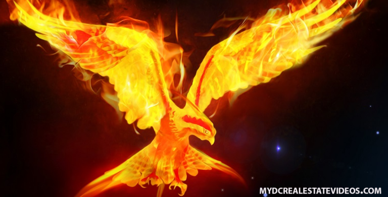 Pola Gacor dan RTP dalam Permainan Phoenix Rises