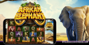 African Elephant™