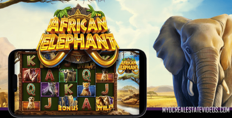 African Elephant™