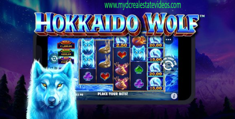 Meraih Maxwin Hokkaido Wolf