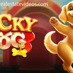 Lucky Dog