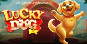 Lucky Dog