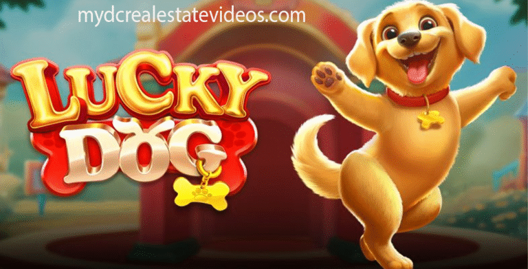 Lucky Dog