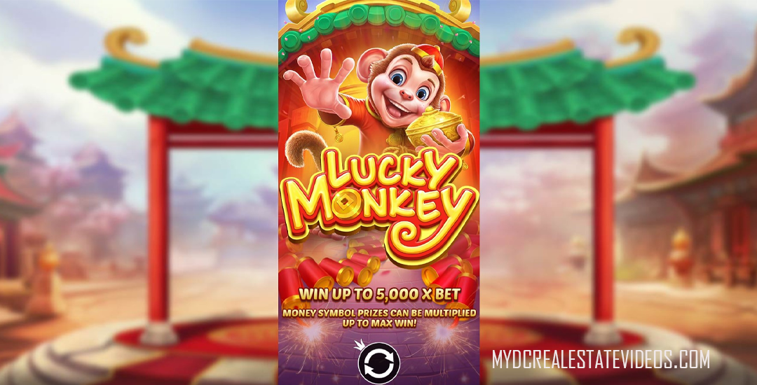 Lucky Monkey