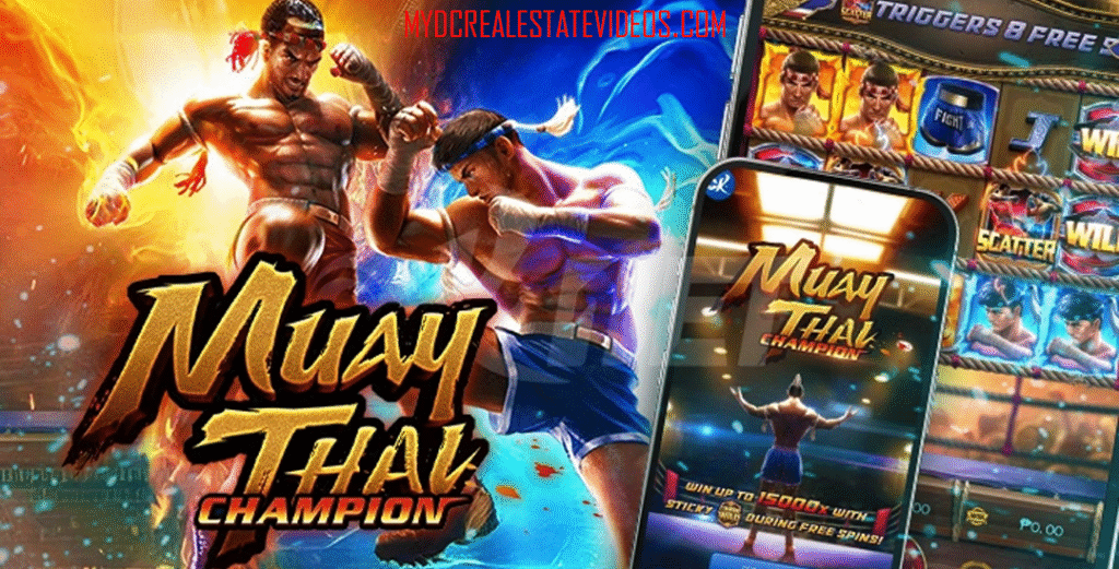 Muay Thai Champion
