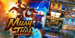 Muay Thai Champion
