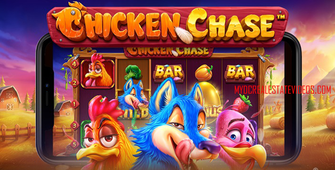 Chicken Chase
